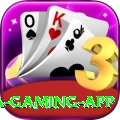 TD777 Mega Gaming App
