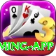 TD777 Mega Gaming App